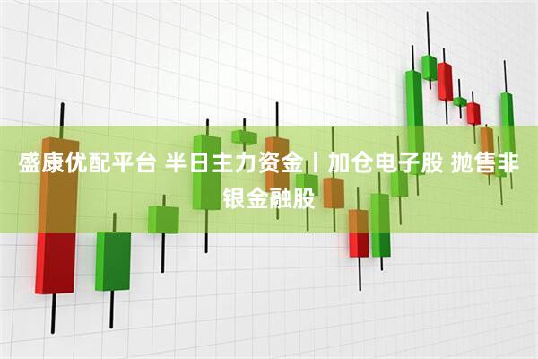 盛康优配平台 半日主力资金丨加仓电子股 抛售非银金融股